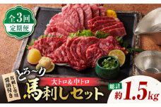 【3回定期便】サシが決め手の「トロ〜り 馬刺し セット 」 中トロ馬刺し 約50g×6 大トロ馬刺し 約50g×4 計500g 国産 馬刺し 熊本 山鹿市 霜降り サシ 大トロ 中トロ 専用醤油付き 食べ比べ セット 冷凍 小分け おつまみ ヘルシー【株式会社  利他フーズ】[ZBK016]