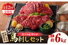 【12回定期便】サシが決め手の「トロ〜り 馬刺し セット 」 中トロ馬刺し 約50g×6 大トロ馬刺し 約50g×4 計500g 国産 馬刺し 熊本 山鹿市 霜降り サシ 大トロ 中トロ 専用醤油付き 食べ比べ セット 冷凍 小分け おつまみ ヘルシー【株式会社  利他フーズ】[ZBK018]