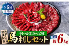 【6回定期便】赤身 & 霜降りの「2種食べ比べセット 」 馬刺し 赤身 約50g×10パック 中トロ 約50g×10パック 専用醤油付き 国産 馬刺し赤身 国内肥育 霜降り中トロ 約1キロ たっぷり 熊本 ばさし バサシ 冷凍 パック 小分け 【株式会社  利他フーズ】[ZBK023]