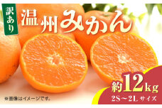 【先行予約】【数量限定】温州みかん約12kg　2S～2Lサイズ　【くまふる】 [ZBG048]