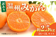 【先行予約】【数量限定】温州みかん約2.5kg　2S～2Lサイズ　【くまふる】 [ZBG052]
