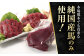  国産 馬刺し ヒレ 馬肉 ヘルシー 専用タレ付き 小分け おろし生姜 冷蔵 真空パック ギフト 贈答用 おつまみ 熊本 山鹿市