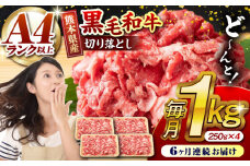 【6回定期便】熊本県産 黒毛和牛 切り落とし 計約1kg (約250g×4P) 牛肉 切り落とし 国産 和牛 ブランド牛 A4ランク以上 A4 A5 小分け 冷凍 肉 牛こま こま肉 肉じゃが 炒め物 野菜炒め 使い方色々 九州産 熊本産 山鹿市 送料無料 定期便【有限会社九州食肉産業】[ZDQ033]