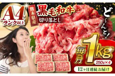 【12回定期便】熊本県産 黒毛和牛 切り落とし 計約1kg (約250g×4P) 牛肉 切り落とし 国産 和牛 ブランド牛 A4ランク以上 A4 A5 小分け 冷凍 肉 牛こま こま肉 肉じゃが 炒め物 野菜炒め 使い方色々 九州産 熊本産 山鹿市 送料無料 定期便【有限会社九州食肉産業】[ZDQ034]