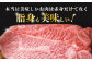 熊本県産 黒毛和牛 サーロイン ステーキ 牛肉 国産 和牛 A4ランク以上 冷凍 ロース 霜降り 高級 九州産 熊本産 山鹿市