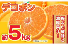 【先行予約】【数量限定】デコポン 約5kg 12玉～20玉 【くまふる】 [ZBG059]