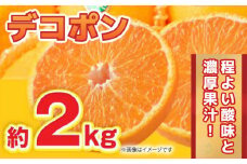 【先行予約】【数量限定】デコポン 約2kg 6玉～8玉 【くまふる】 [ZBG060]