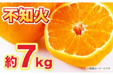 【先行予約】【数量限定】不知火 約7kg 【くまふる】柑橘 みかん 熊本 しらぬい 果物  [ZBG061]