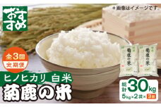【新米先行予約】【3回定期便】菊鹿の米 ヒノヒカリ 白米 5kg×2袋【有限会社 あそしな米穀】お米定期 お米定期便 ひのひかり 熊本 精米 [ZBI017]