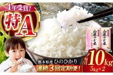 【新米先行予約】【3回定期便】山鹿のお米 ヒノヒカリ 5kg×2【有限会社 あそしな米穀】お米定期 お米定期便 ひのひかり 熊本 精米  [ZBI018]