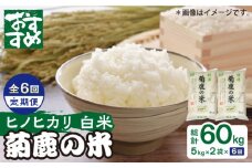 【6回定期便】菊鹿の米 ヒノヒカリ 白米 5kg×2袋【有限会社 あそしな米穀】お米定期 お米定期便 熊本 精米 ひのひかり定期  [ZBI022]