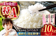 【6回定期便】山鹿のお米 ヒノヒカリ 5kg×2【有限会社 あそしな米穀】お米定期 お米定期便 熊本 精米 ひのひかり定期  [ZBI023]