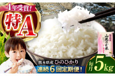 【6回定期便】山鹿のお米 ヒノヒカリ 5kg【有限会社 あそしな米穀】お米定期 お米定期便 熊本 精米 ひのひかり定期  [ZBI025]
