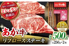 【12回定期便】【数量限定】リブロースステーキ 500g(250g×2枚)【有限会社スイートサプライなかぞの 】リブロース ステーキ ステーキ定期 熊本  [ZBV025]