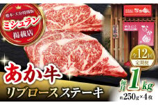 【12回定期便】リブロースステーキ 1kg(250g×4枚)【有限会社スイートサプライなかぞの 】リブロース ステーキ ステーキ定期 熊本  [ZBV028]