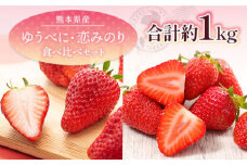 【先行予約】【数量限定】 ゆうべに・恋みのり 食べ比べセット 約1kg【くまふる】いちご 苺 イチゴ 冷蔵 くまもと 熊本 いちご食べ比べ いちごセット  [ZBG064]