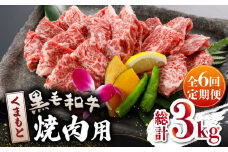 【数量限定】【全6回定期便】くまもと 黒毛和牛 焼肉用 500ｇ【山鹿市（桜屋）】 黒毛和牛 焼き肉用 焼肉 焼き肉 熊本県産 くまもと  [ZBO041]