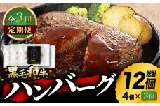 【3回定期便】九州産 藤彩牛 大判 ハンバーグ 2535 [ZDT031] 冷凍 国産 牛肉  ハンバーグ セット 大判ハンバーグ 熊本