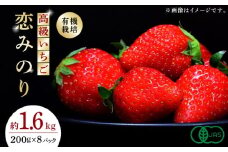 高級 いちご 恋みのり  約1600g（200g×8pc）【伊藤農園】 イチゴ いちご 苺 熊本県  [ZBB007]