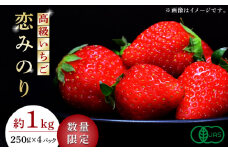 【数量限定】高級 いちご 恋みのり 約1000g（250g×4pc）【伊藤農園】 苺 イチゴ 熊本県 果物  [ZBB006]