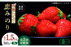 【数量限定】【先行予約】【3回定期便】高級 いちご 恋みのり 約500g（250g×2pc）【伊藤農園】 イチゴ いちご 苺  オーガニック  [ZBB008]