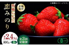 【先行予約】【3回定期便】高級 いちご 恋みのり 約800g（200g×4pc）【伊藤農園】いちご 苺 熊本県 オーガニック 恋みのり [ZBB009]