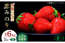【数量限定】【先行予約】【3回定期便】高級 いちご 恋みのり 約2000g（250g×8pc）【伊藤農園】イチゴ いちご 苺 熊本県 有機 オーガニック [ZBB010]