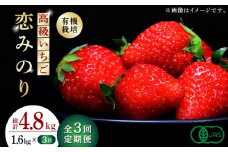 【先行予約】【3回定期便】高級 いちご 恋みのり 約1600g（200g×8pc）【伊藤農園】イチゴ いちご 苺 熊本県 有機 オーガニック [ZBB010]