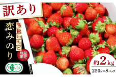 【訳あり】【先行予約】高級 いちご 恋みのり 約2000g【伊藤農園】 果物 フルーツ イチゴ いちご 苺 熊本県  [ZBB012]