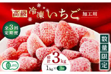 【3回定期便】【数量限定】高級 冷凍  いちご 加工用 約1kg（約500g×2袋）【伊藤農園】 イチゴ いちご 苺 熊本県 特産品 オーガニック  [ZBB015]