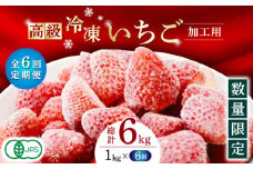 【6回定期便】【数量限定】高級 冷凍  いちご 加工用 約1kg（約500g×2袋）【伊藤農園】 イチゴ いちご 苺 熊本県 特産品 オーガニック  [ZBB016]