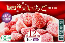 【12回定期便】【数量限定】高級 冷凍  いちご 加工用 約1kg（約500g×2袋）【伊藤農園】イチゴ いちご 苺 熊本県 特産品 オーガニック  [ZBB017]