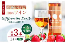 【3回定期便】【数量限定】高級 いちご 100％ワイン Giftfromthe Earth -大地からの贈り物- オーガニック【伊藤農園】  有機 お酒 ワイン オーガニックワイン  [ZBB018]