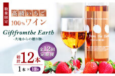 【12回定期便】【数量限定】高級 いちご 100％ワイン Giftfromthe Earth -大地からの贈り物- オーガニック【伊藤農園】 特産品 オーガニック 有機 お酒 ワイン  [ZBB020]