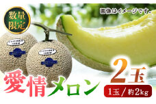 【数量限定】【先行予約】愛情 メロン 2玉【とみおか農園】 [ZEM001]