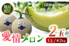 【先行予約】愛情 メロン 2玉【とみおか農園】 [ZEM001]