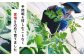 ひとりじめ 黒皮小玉 スイカ 2玉 西瓜 小玉すいか くまもと 果物  熊本県産 スイカ 小玉 名産 フルーツ 旬 甘い 山鹿市