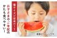 種ごと 食べられる 小玉スイカ 2玉 ピノガール 熊本県産 すいか 西瓜 スイカ 熊本県 名産 果物 フルーツ 旬 甘い 新鮮