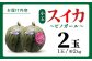 種ごと 食べられる 小玉スイカ 2玉 ピノガール 熊本県産 すいか 西瓜 スイカ 熊本県 名産 果物 フルーツ 旬 甘い 新鮮