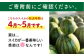 種ごと 食べられる 小玉スイカ 2玉 ピノガール 熊本県産 すいか 西瓜 スイカ 熊本県 名産 果物 フルーツ 旬 甘い 新鮮
