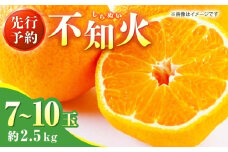 【先行予約】不知火 約2.5kg 【くまふる】熊本 くまもと 柑橘  [ZBG065]