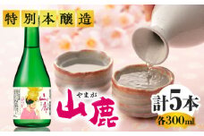 千代の園 灯籠娘 セット 【千代の園酒造 株式会社 】 [ZAI050]