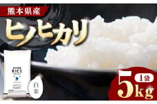 《 新米先行予約 》2025年10月より順次発送 ヒノヒカリ 白米 5kg【有限会社  農産ベストパートナー】5kg 精米 特A ヒノヒカリ ひのひかり コメ 米 お米 熊本県 熊本県産 ごはん 白米  [ZBP089]