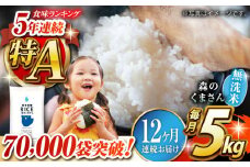 《 新米先行予約 》【全12回定期便】2025年10月より順次発送  森のくまさん 無洗米 5kg【有限会社  農産ベストパートナー】5kg 無洗米 精米 森のくまさん 特産品 コメ 米 お米 熊本県 熊本県産  [ZBP096]
