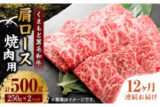【12回定期便】くまもと黒毛和牛 焼肉用 肩ロース 500g（250g×2pc）【馬刺しの郷 民守】 熊本県産 九州産 和牛 お肉 肉 バラ 黒毛和牛  [ZBL120]