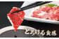 特選霜降り 馬刺し 中トロ 600g 馬肉 桜肉 便利 小分け タレ付き おつまみ 晩酌 冷凍 刺身 九州 熊本 山鹿 送料無料
