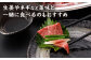 特選霜降り 馬刺し 大トロ 400g 馬肉 桜肉 便利 小分け タレ付き おつまみ 晩酌 冷凍 刺身 九州 熊本 山鹿 送料無料