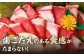 馬刺し ヤング 馬刺し 馬肉 桜肉 馬 肉 便利 小分け 3パック タレ付き 歯ごたえ 冷凍 刺身 九州 熊本県 送料無料 