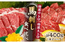 特選霜降り馬刺し 中トロ大トロ2種食べ比べセット 計400g（各2pc）＋タレ大 馬刺し 特選霜降り馬刺し 馬刺し 馬肉 桜肉 馬 肉 特選 霜降り 中トロ 大トロ タレ付き 冷凍 おつまみ 刺身 九州 熊本県 特産品 山鹿 送料無料【馬刺しの郷 民守】[ZBL017]