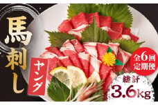 【6回定期便】ヤング馬刺し 計600g（6pc）＋タレ大 馬刺し ヤング 馬刺し 馬肉 桜肉 馬 肉 便利 小分け 6パック タレ付き コリコリ 歯ごたえがある 首周りのお肉 冷凍 生食 肉食 刺身 九州 熊本県 特産品 山鹿 送料無料 【馬刺しの郷 民守】[ZBL075]